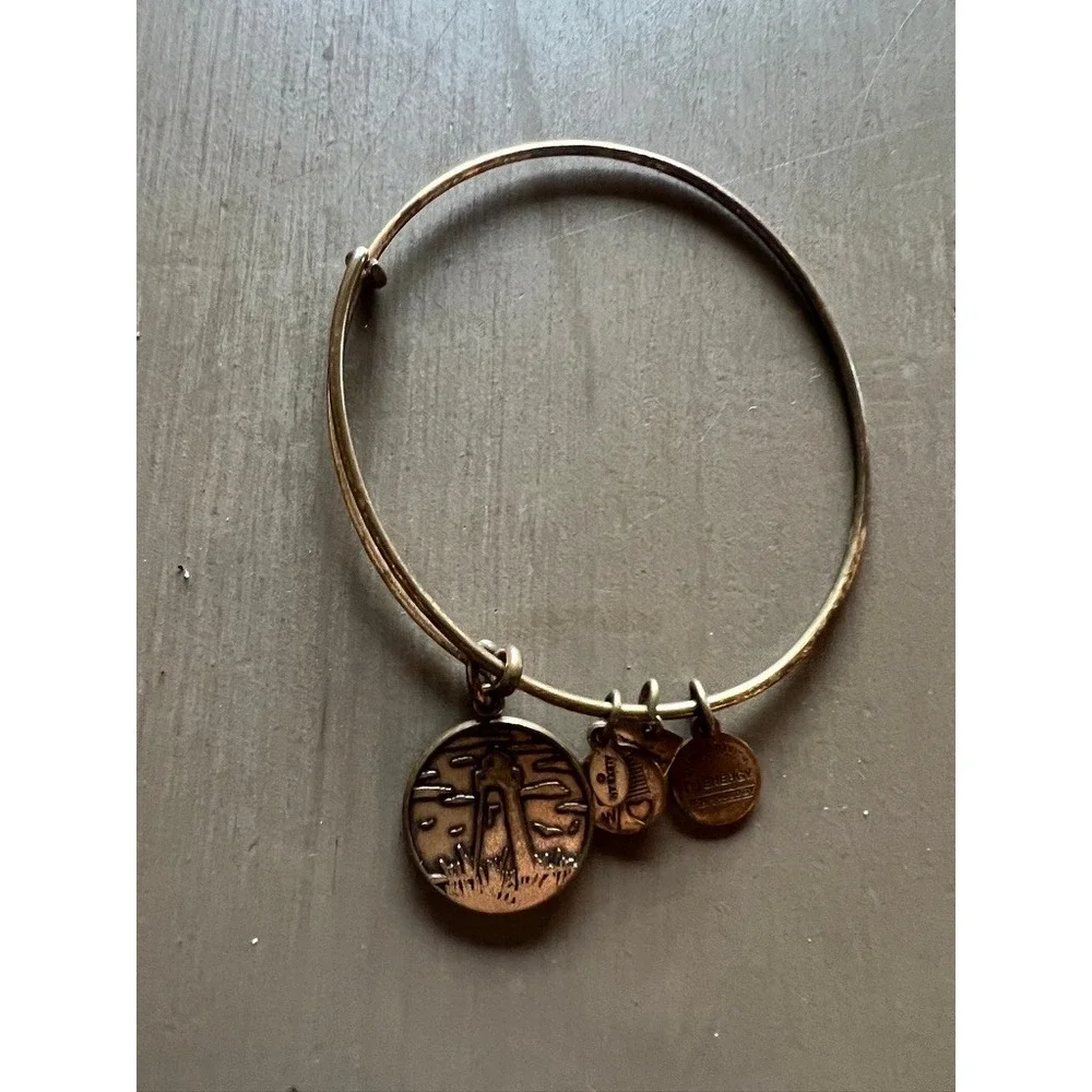 Alex and Ani Bangle Bracelet Lot 11pc Silver Gold Rose Gold Charms